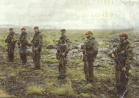 Norsk s&eacute;rsveit &iacute; hlutverki andst�&eth;ingsins