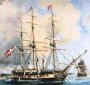 Link to the TST (Triangular Slave Trade) site